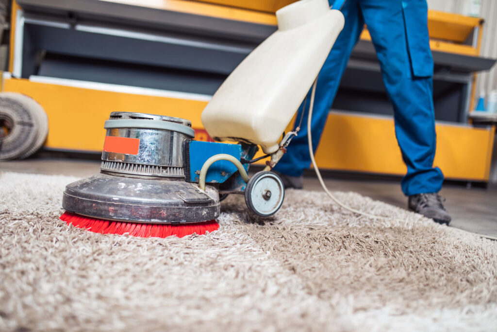 Professional Carpet Cleaning Services London